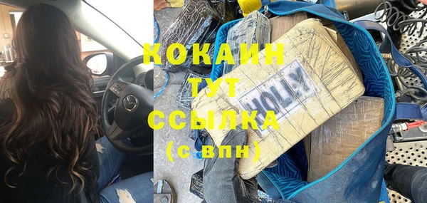 прущие грибы Баксан