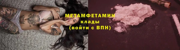 прущие грибы Баксан