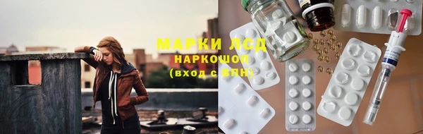прущие грибы Баксан