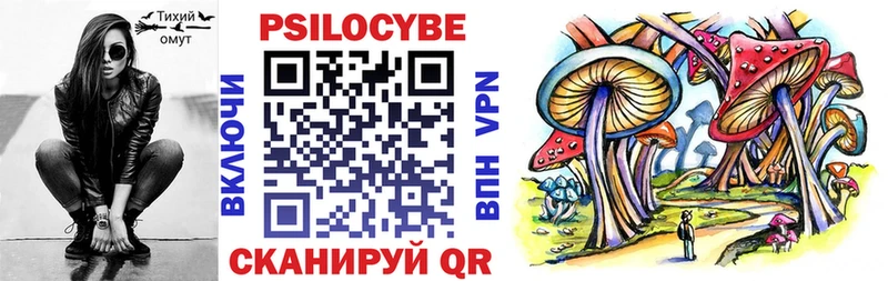 KRAKEN ТОР Зеленоградск Псилоцибиновые грибы Psilocybe