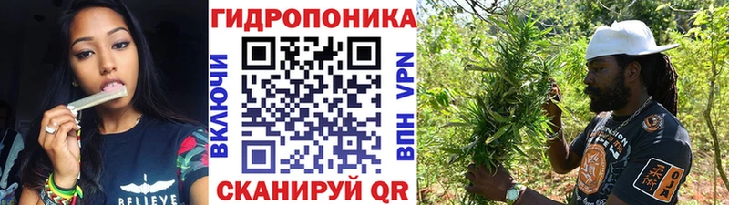 как найти закладки  гидра ТОР  Каннабис тримм  Зеленоградск 